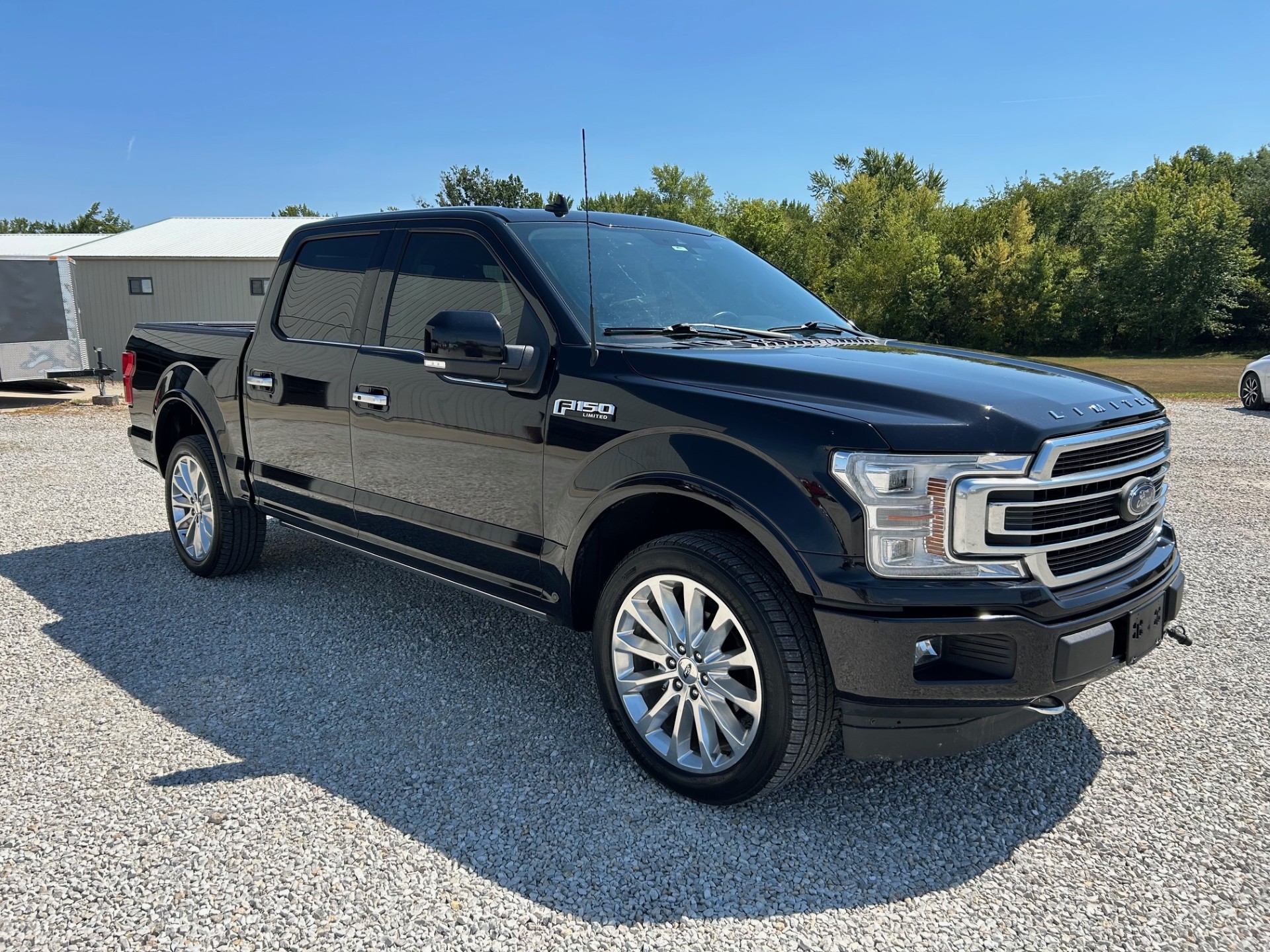 2019 Ford F-150 Limited's photo